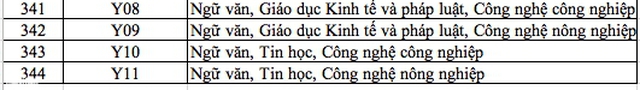 Danh sách 344 tổ hợp môn xét tuyển đại học, cao đẳng năm 2025 - Ảnh 10.