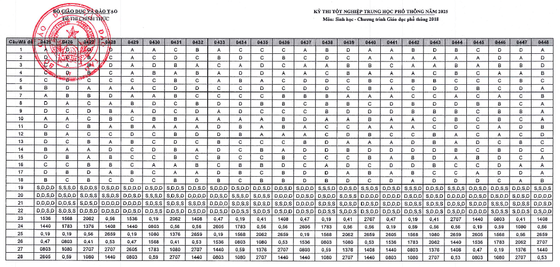 đáp án - Ảnh 13.